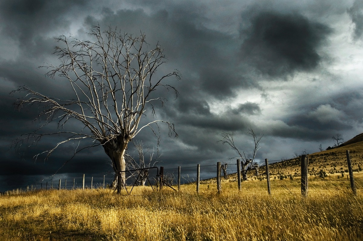 Dark clouds before the storm