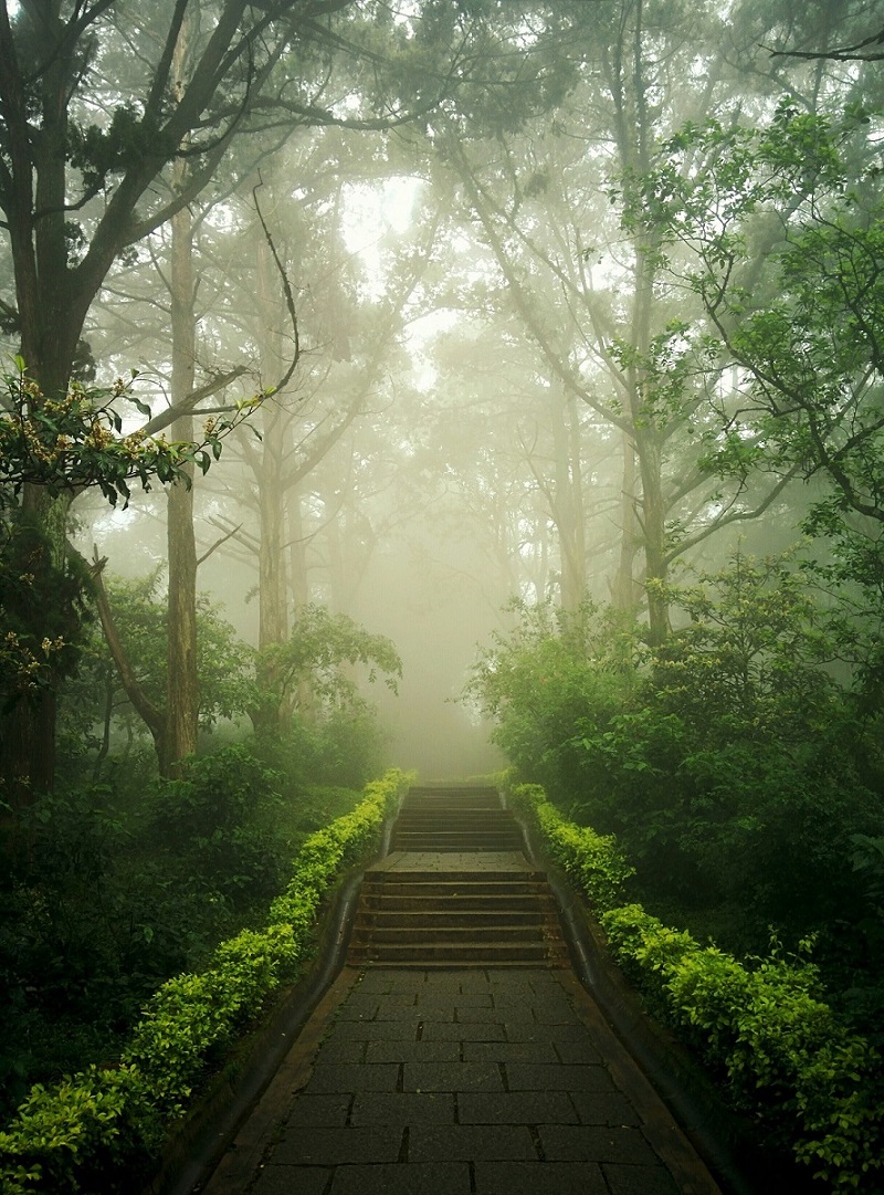 Stepping into the heavenly garden