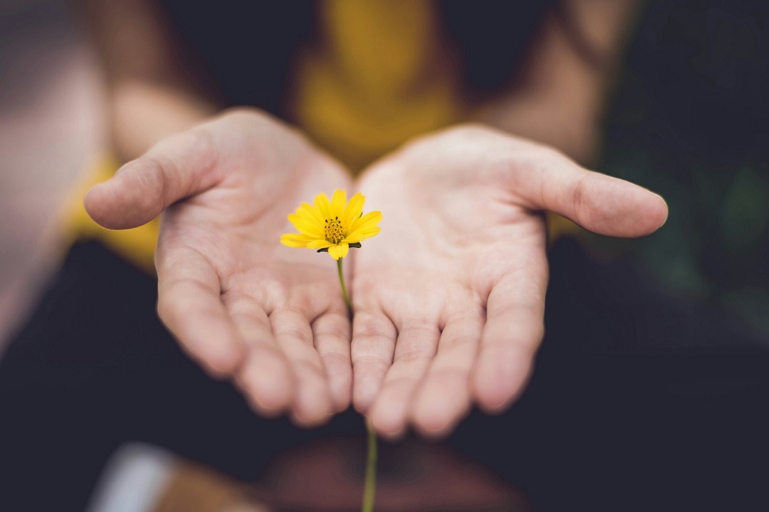 Holding a flower as a picture of hope