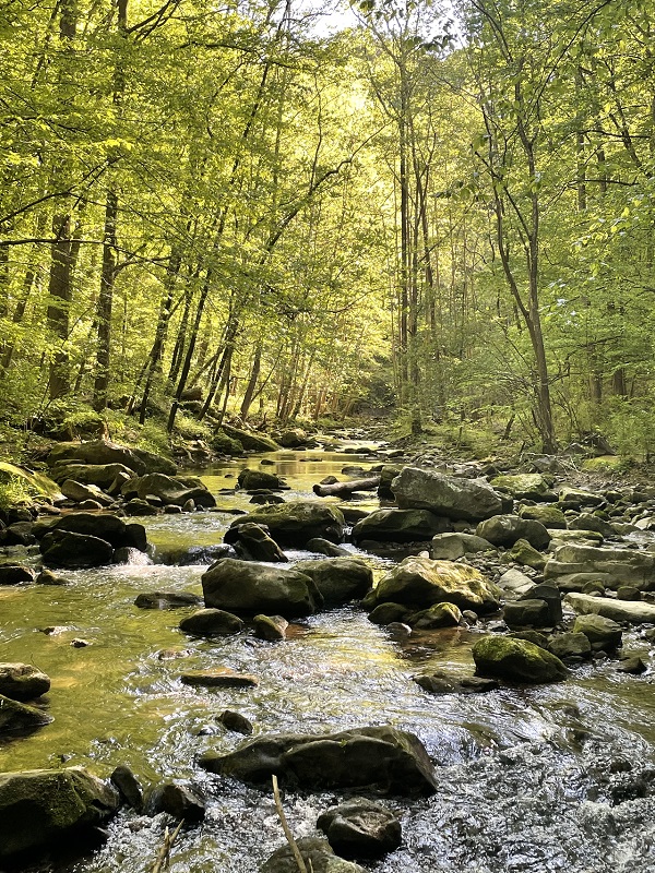 creation reminding us of something better 