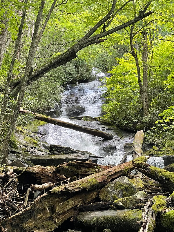 water flowing over rocks and felled trees
