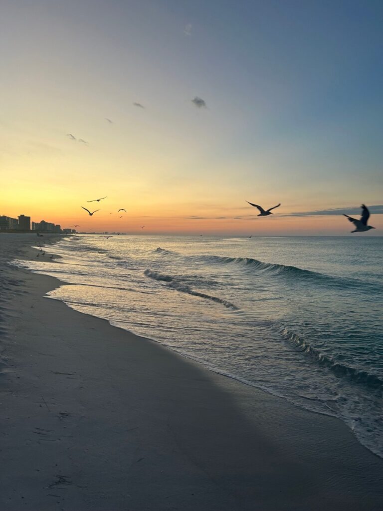 Live Free 